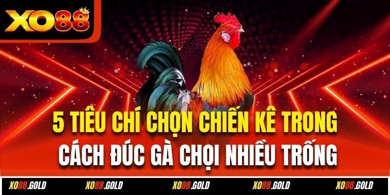 Nhìn chân vảy tiềm năng