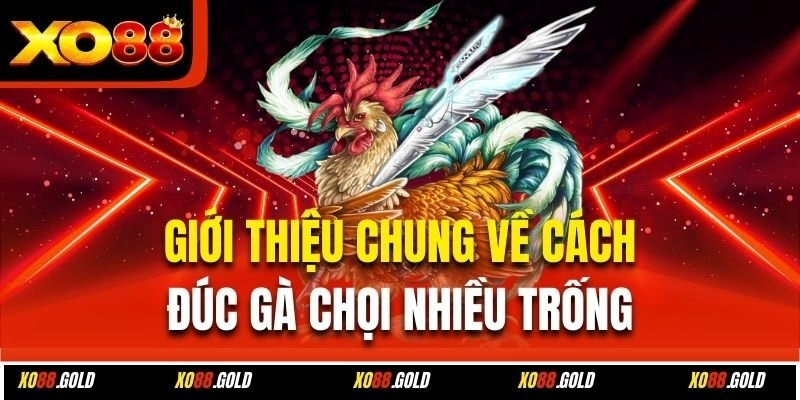 Giới thiệu chung về cách đúc gà chọi nhiều trống