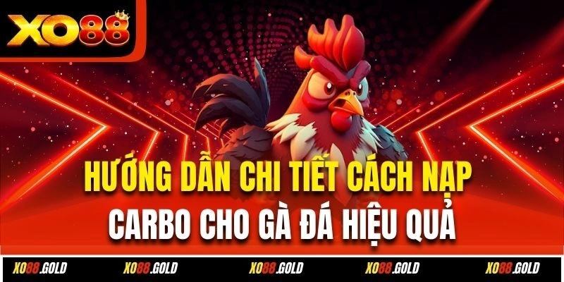 Hướng dẫn chi tiết cách nạp carbo cho gà đá hiệu quả
