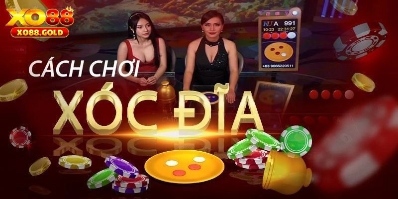 Mẹo Chơi Xóc Đĩa Tại XO88 - Đảm Bảo Thắng Lớn 99%