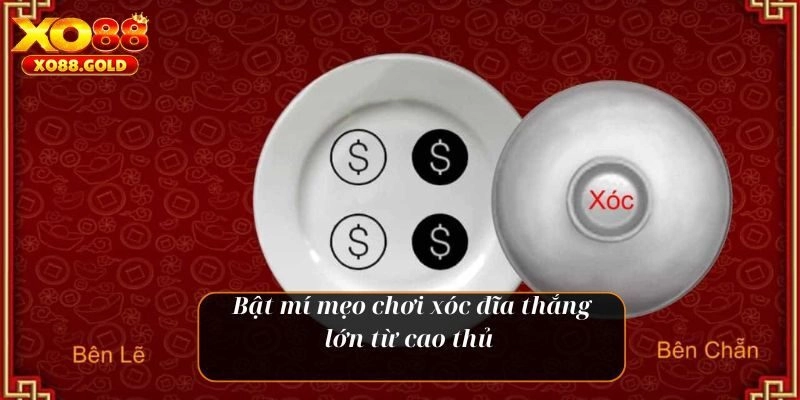 Đặt nhiều cửa cùng lúc