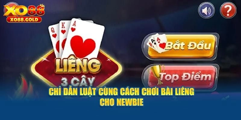 Tìm hiểu về cách chơi liêng chi tiết nhất cho tân binh