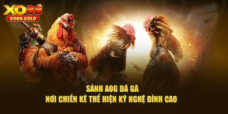 AOG Đá Gà – Sân Chơi Cho Dân Chuyên Tại Nhà Cái XO88