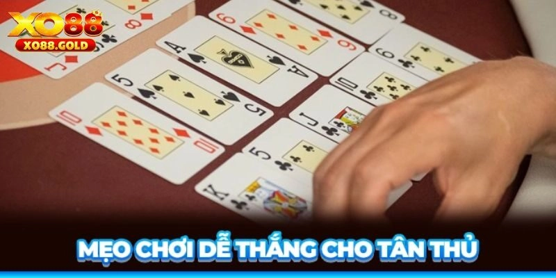 Điểm danh mẹo chơi mậu binh chuẩn nhất